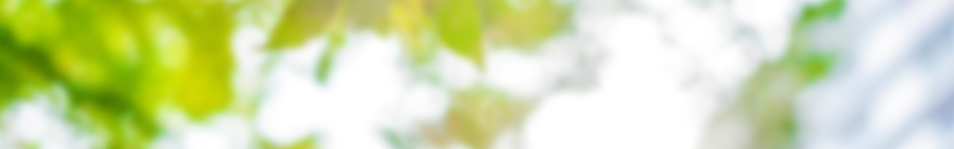 外観のイメージ